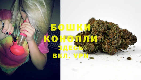 стаф Беломорск