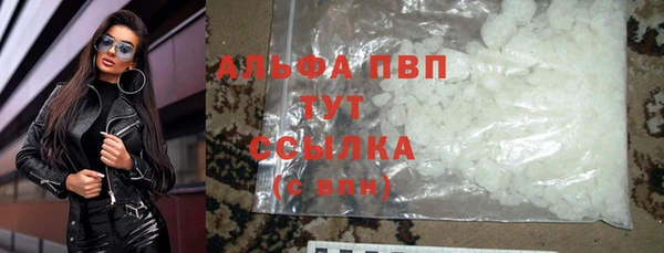 стаф Беломорск