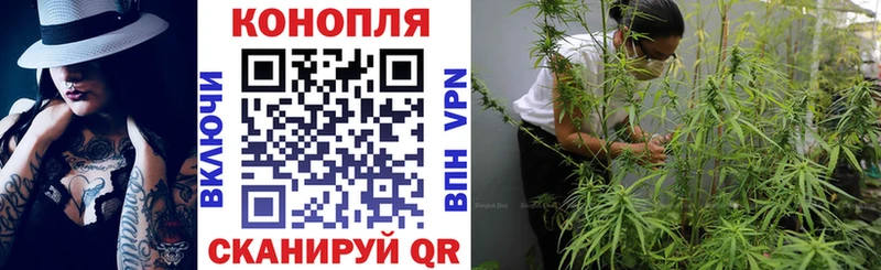 Конопля марихуана Гулькевичи